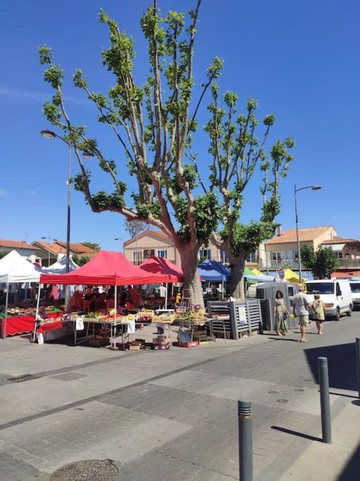 Harmonie Du Sud Appartement Le Grau-dʼAgde Buitenkant foto